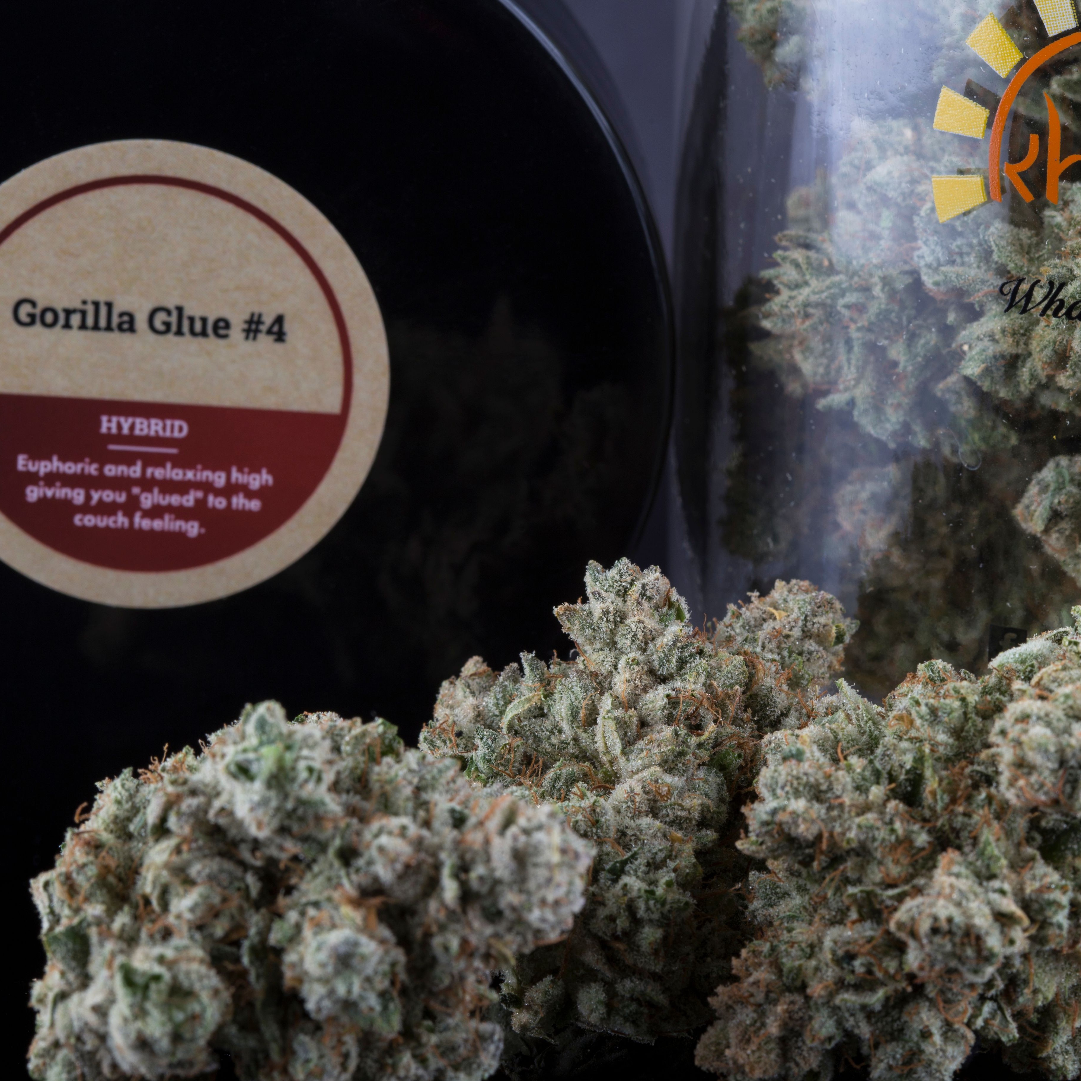 Khush Kush Sticky Gorilla 4 Leafly